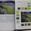 Making Color Sing: Practical Lessons in Color and Design