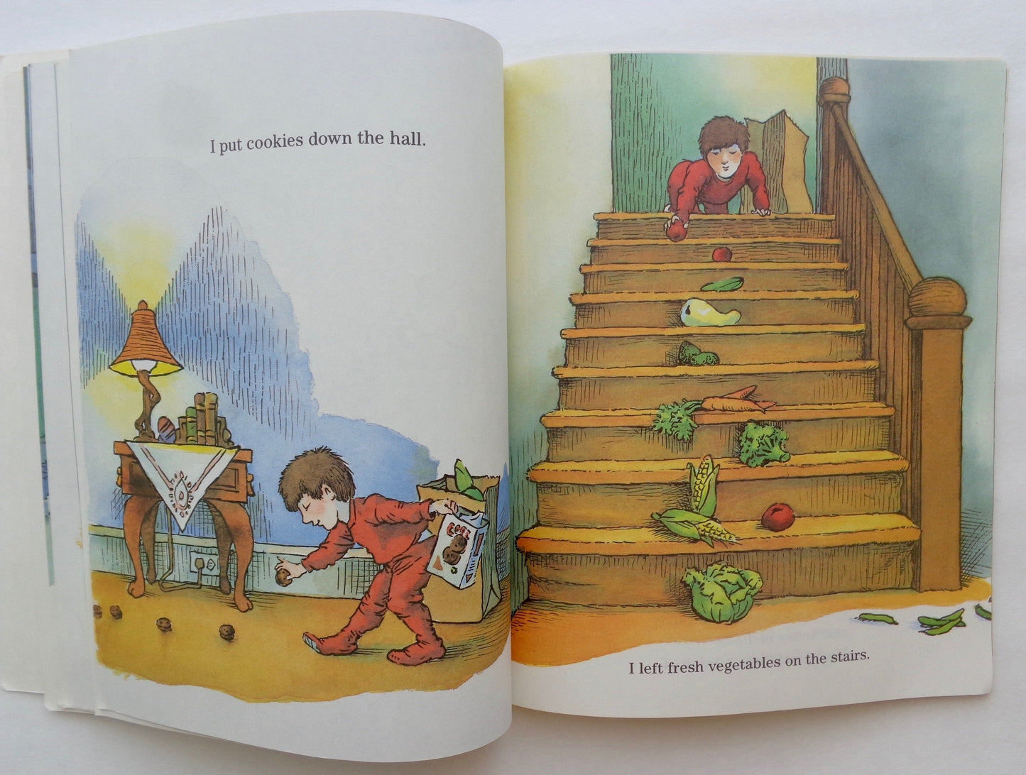There's an Alligator Under My bed by Mercer Mayer