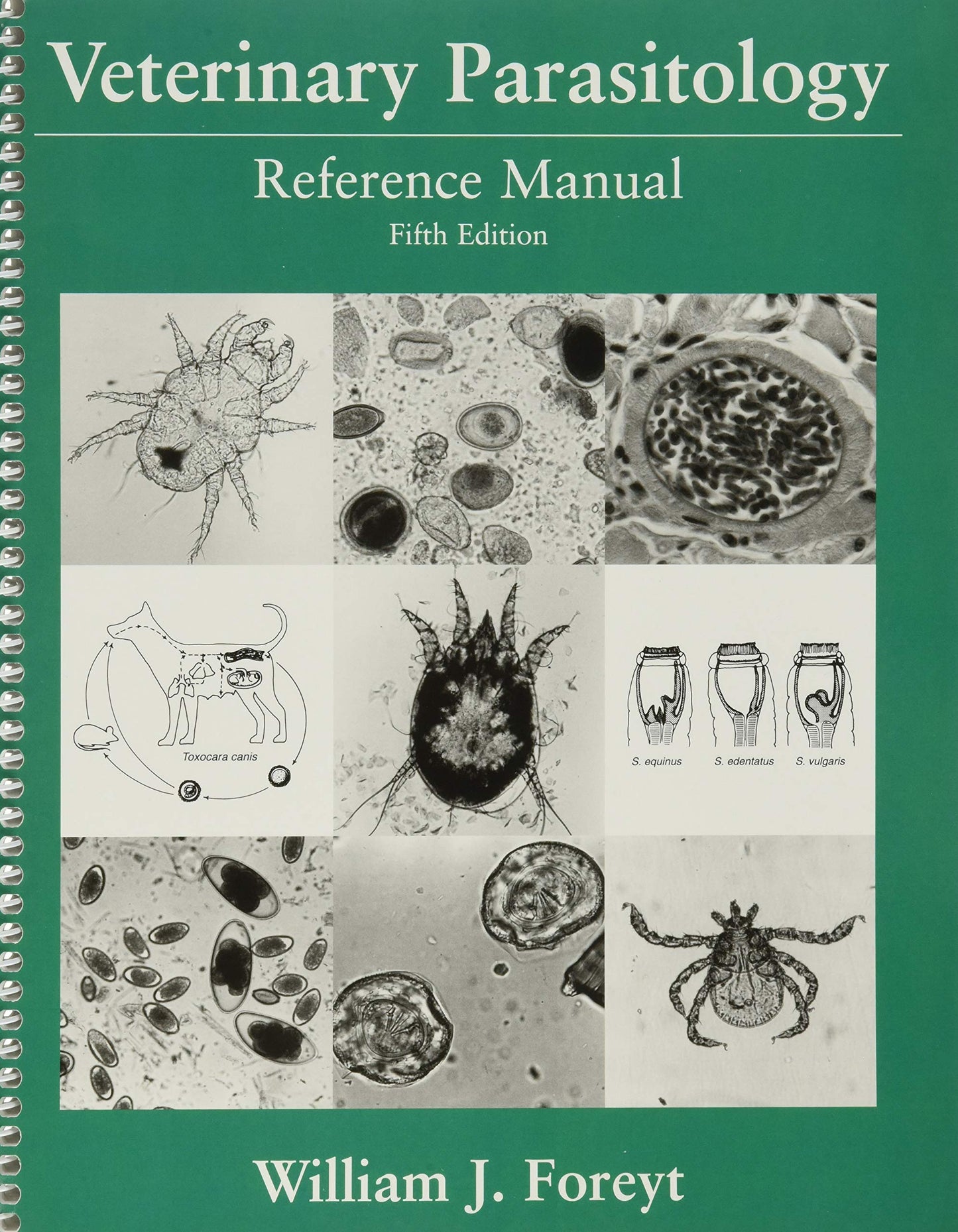 Veterinary Parasitology: Reference Manual by Foreyt, William