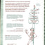 Trail Guide to the Body: How to Locate Muscles, Bones, and More