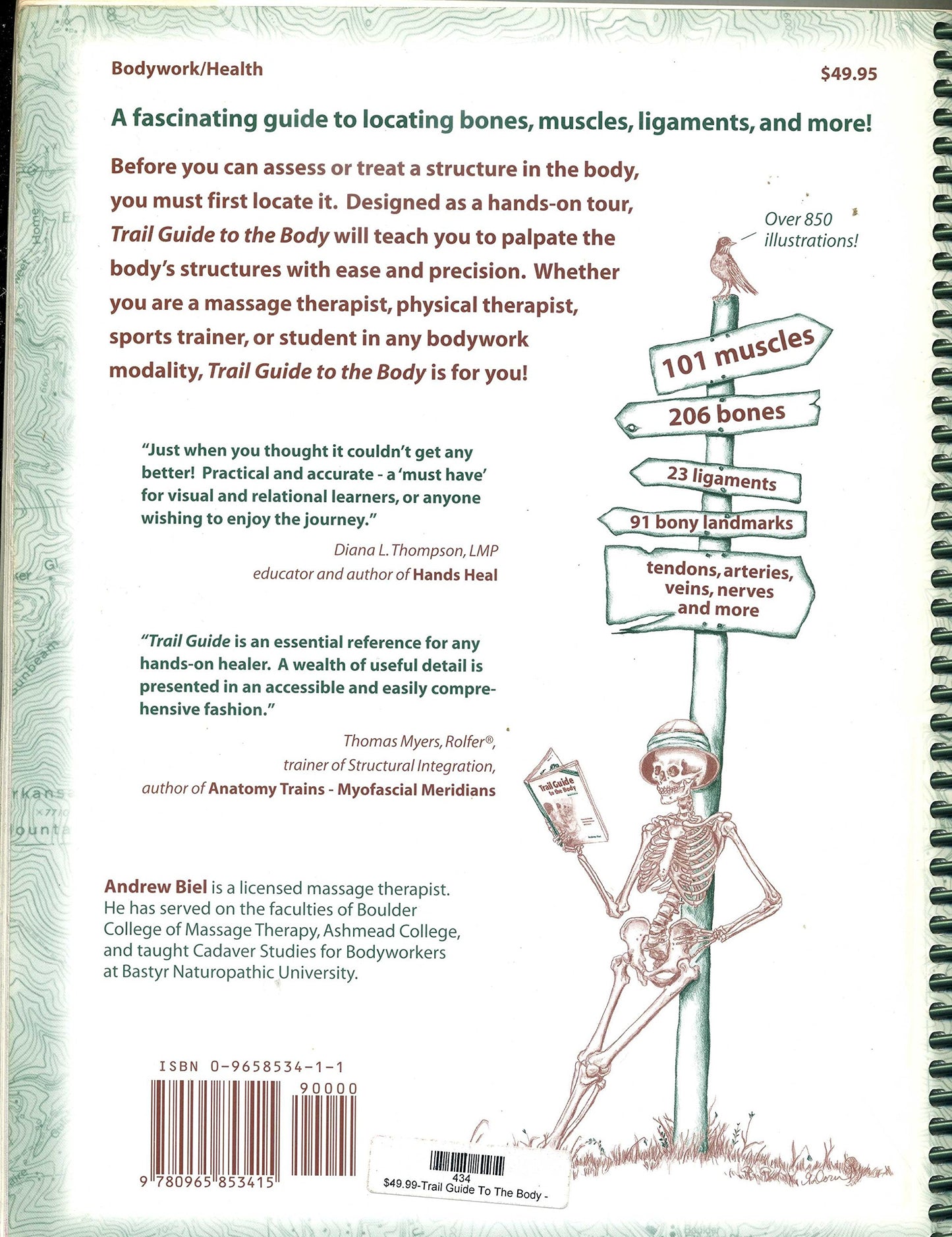 Trail Guide to the Body: How to Locate Muscles, Bones, and More