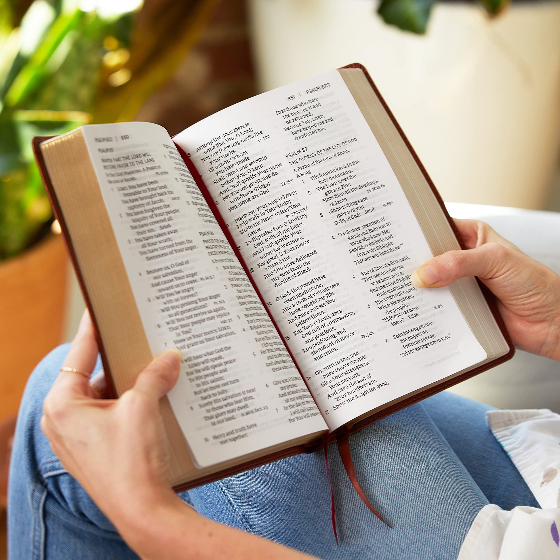 NKJV, End-of-Verse Reference Bible, Personal Size Large Print, Premium Goatskin Leather, Brown, Premier Collection, Red Letter, Comfort Print: Holy Bible, New King James Version