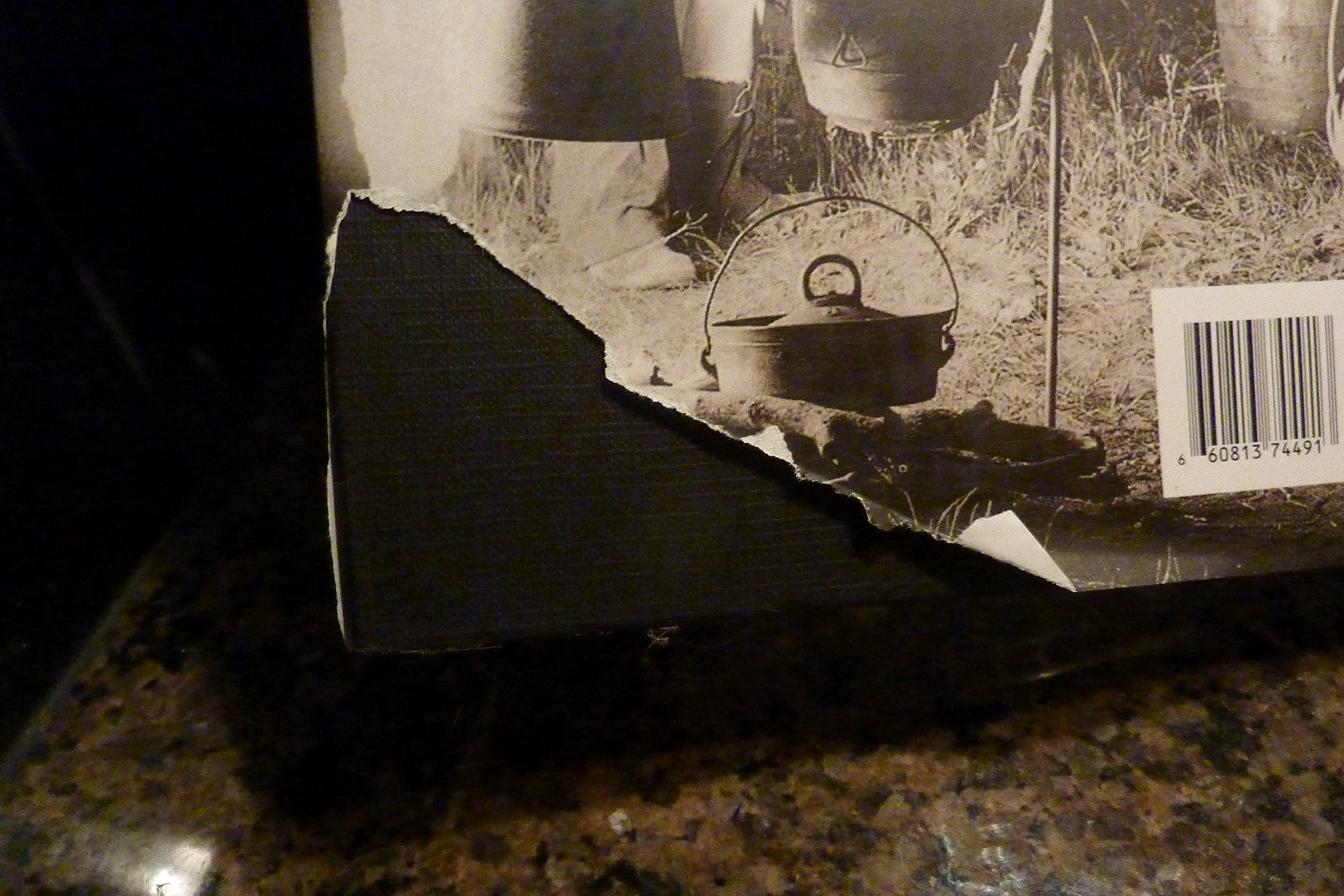 The American Cowboy: A Photographic History