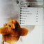 Final Fantasy XIII: The Complete Official Guide by Piggyback