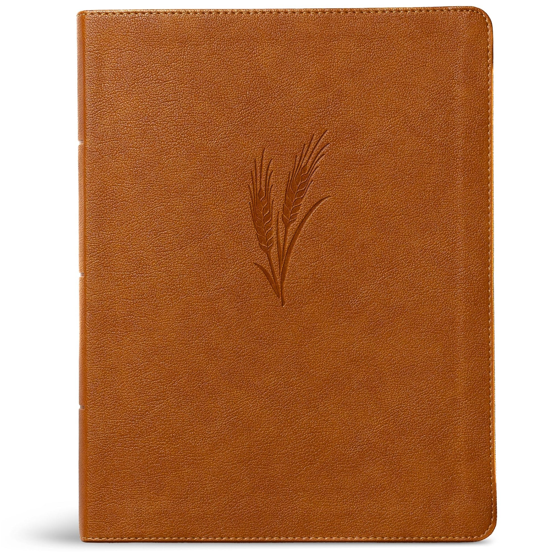 CSB Notetaking Bible, Large Print Edition, Camel LeatherTouch, Black Letter, Wide Margins, Journaling Space, Single-Column, Reading Plan, Easy-to-Read Bible Serif Type