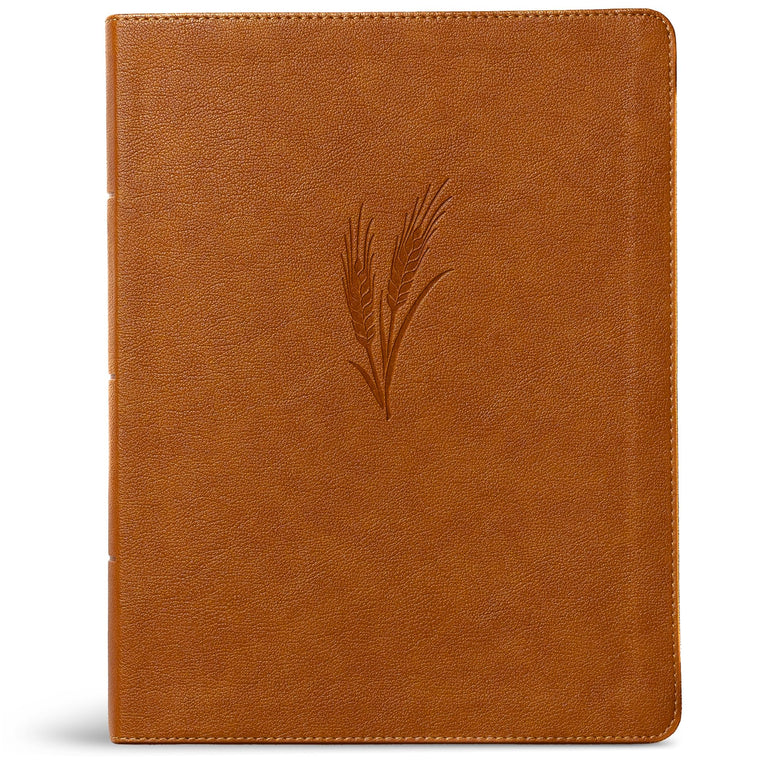 CSB Notetaking Bible, Large Print Edition, Camel LeatherTouch, Black Letter, Wide Margins, Journaling Space, Single-Column, Reading Plan, Easy-to-Read Bible Serif Type