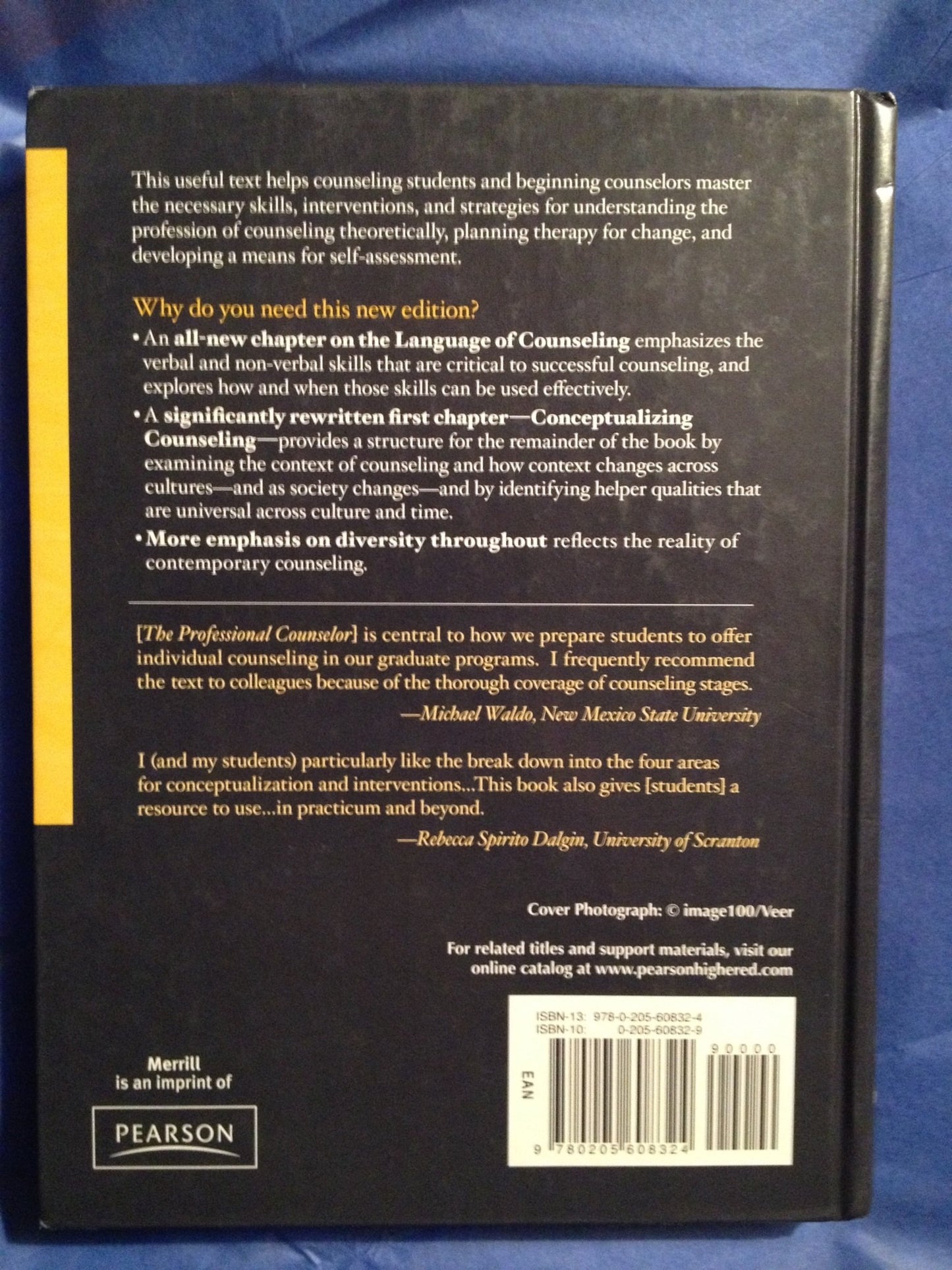 The Professional Counselor: A Process Guide to Helping by Ha