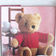 Knitting for Teddies by Catherine Bouquerel
