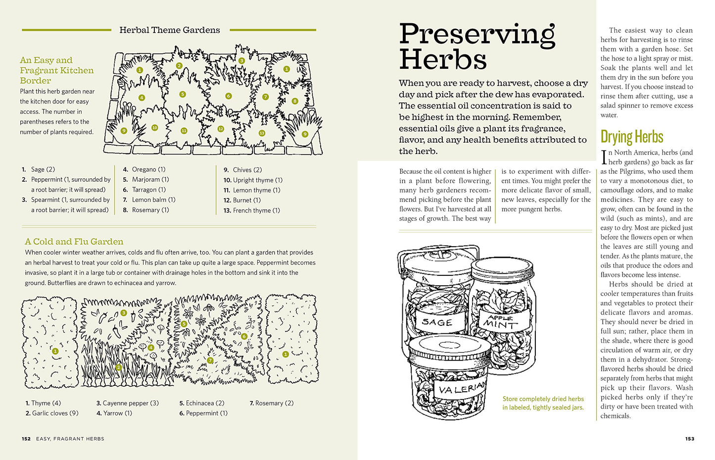 The Backyard Homestead: Produce all the food you need on just a quarter acre!