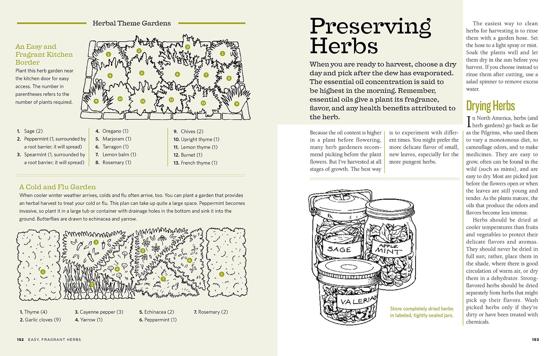 The Backyard Homestead: Produce all the food you need on just a quarter acre!