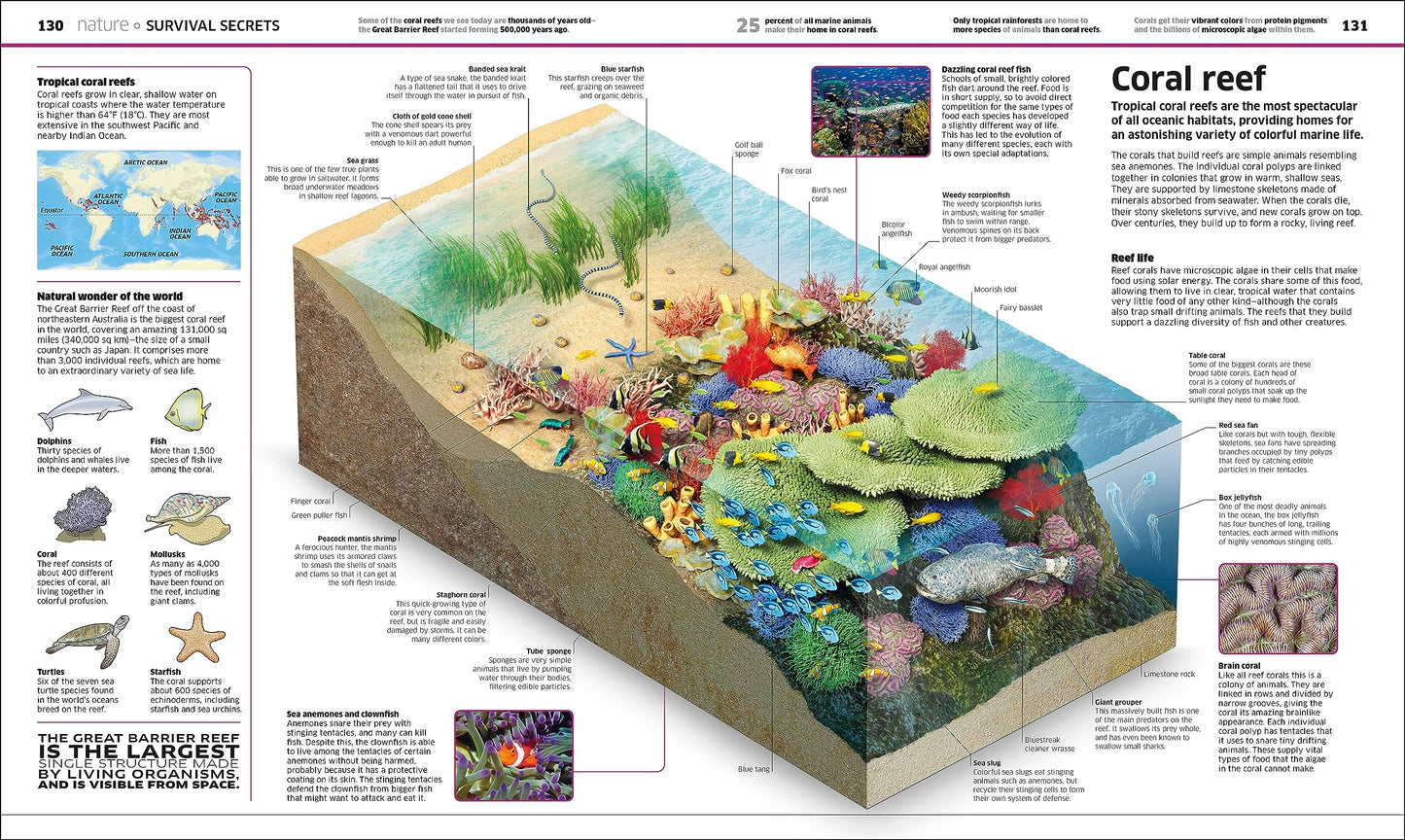 Knowledge Encyclopedia: The World as You've Never Seen it Be