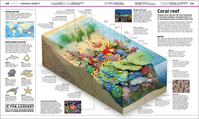 Knowledge Encyclopedia: The World as You've Never Seen it Be