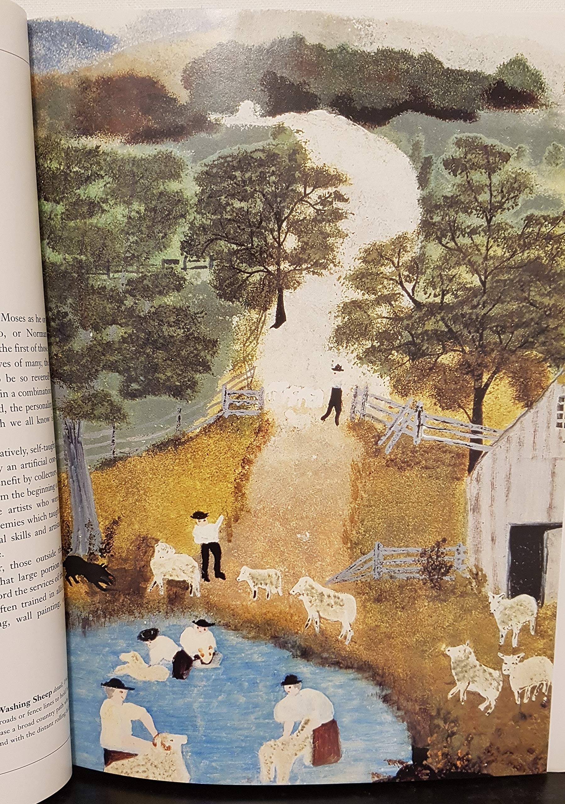 Grandma Moses: An American Original (American Art)