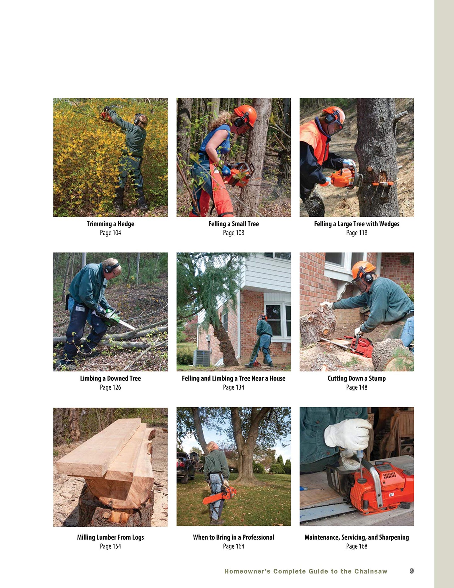 Homeowner's Complete Guide to the Chainsaw by Miakarts Books
