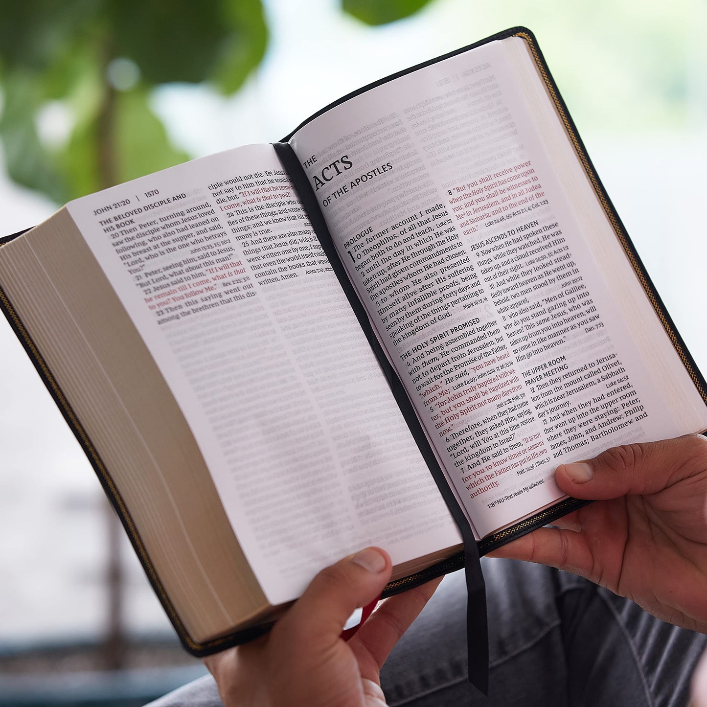 NKJV, End-of-Verse Reference Bible, Personal Size Large Print, Premium Goatskin Leather, Brown, Premier Collection, Red Letter, Comfort Print: Holy Bible, New King James Version
