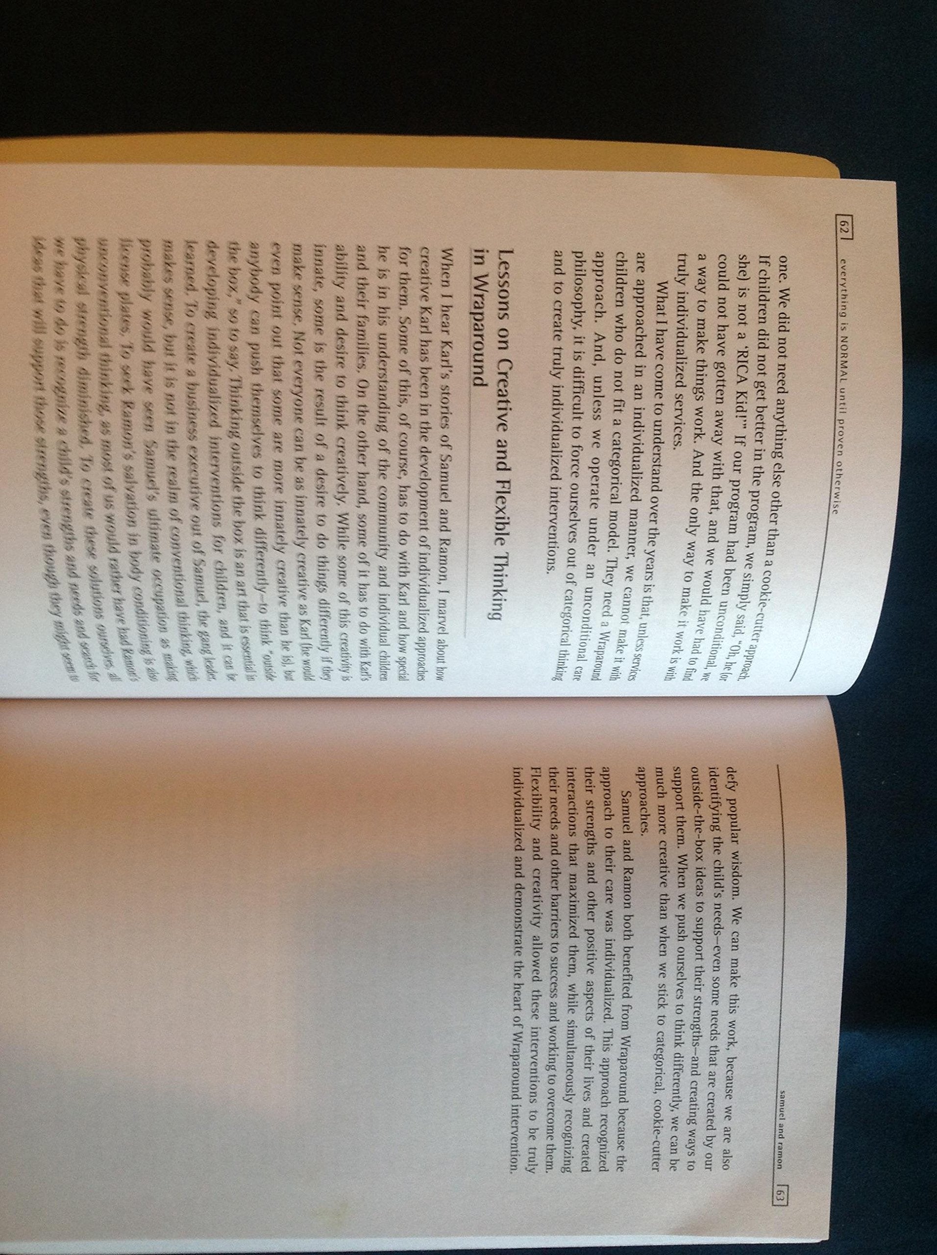 Everything Is Normal Until Proven Otherwise: A Book About Wraparound Services