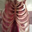 The Human Body: Revised Edition The Classi Three Dimensional