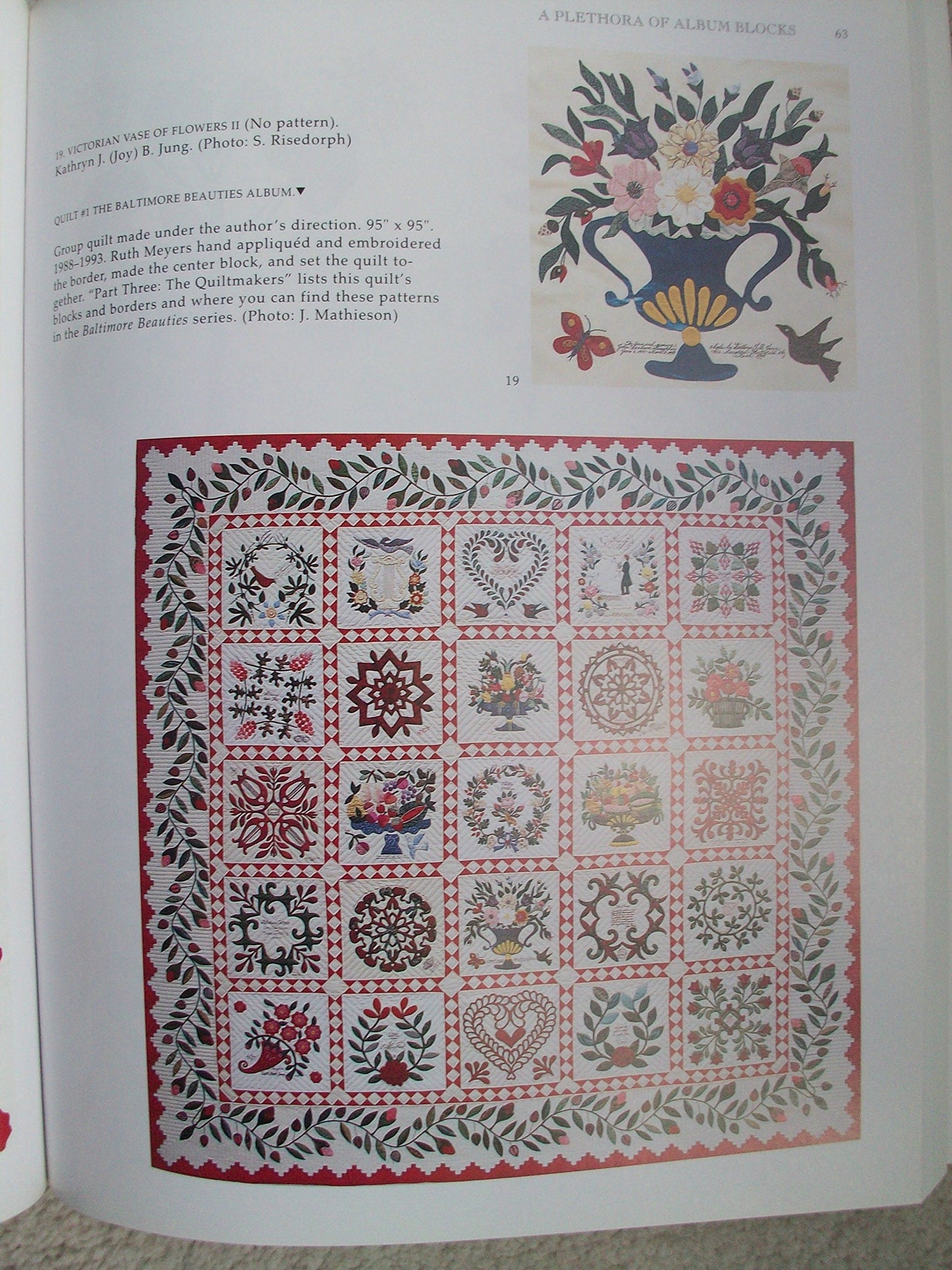 Papercuts and Plenty (Baltimore Beauties and Beyond: Studies in Classic Album Quilt Applique, Vol. 3)