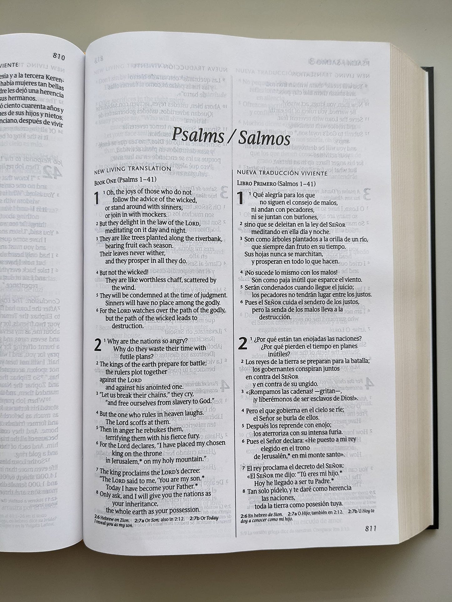 Bilingual Bible / Biblia biling?e NLT/NTV (Hardcover, Black)