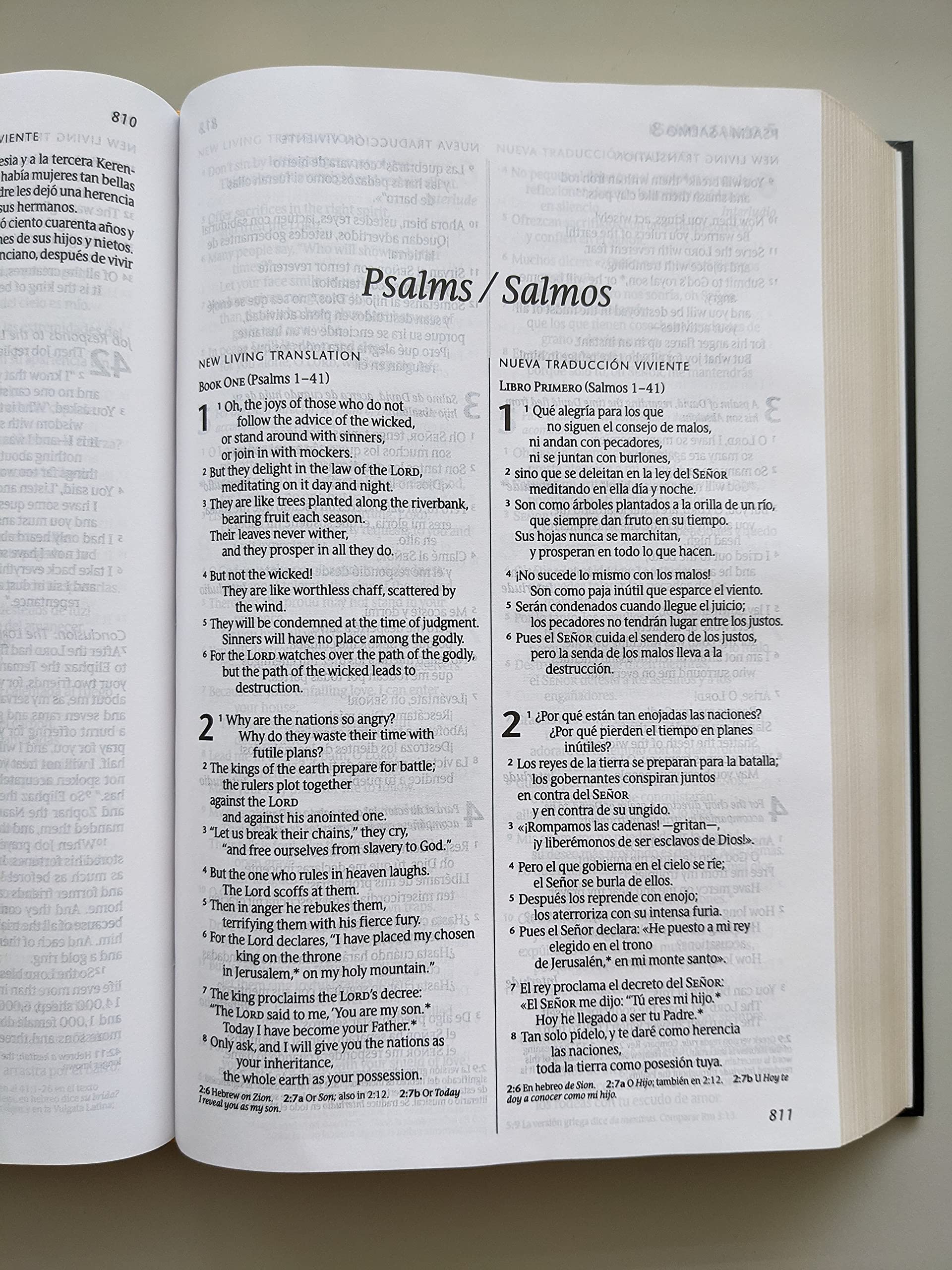 Bilingual Bible / Biblia biling?e NLT/NTV (Hardcover, Black)