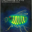 The Making of a Fly: The Genetics of Animal Design