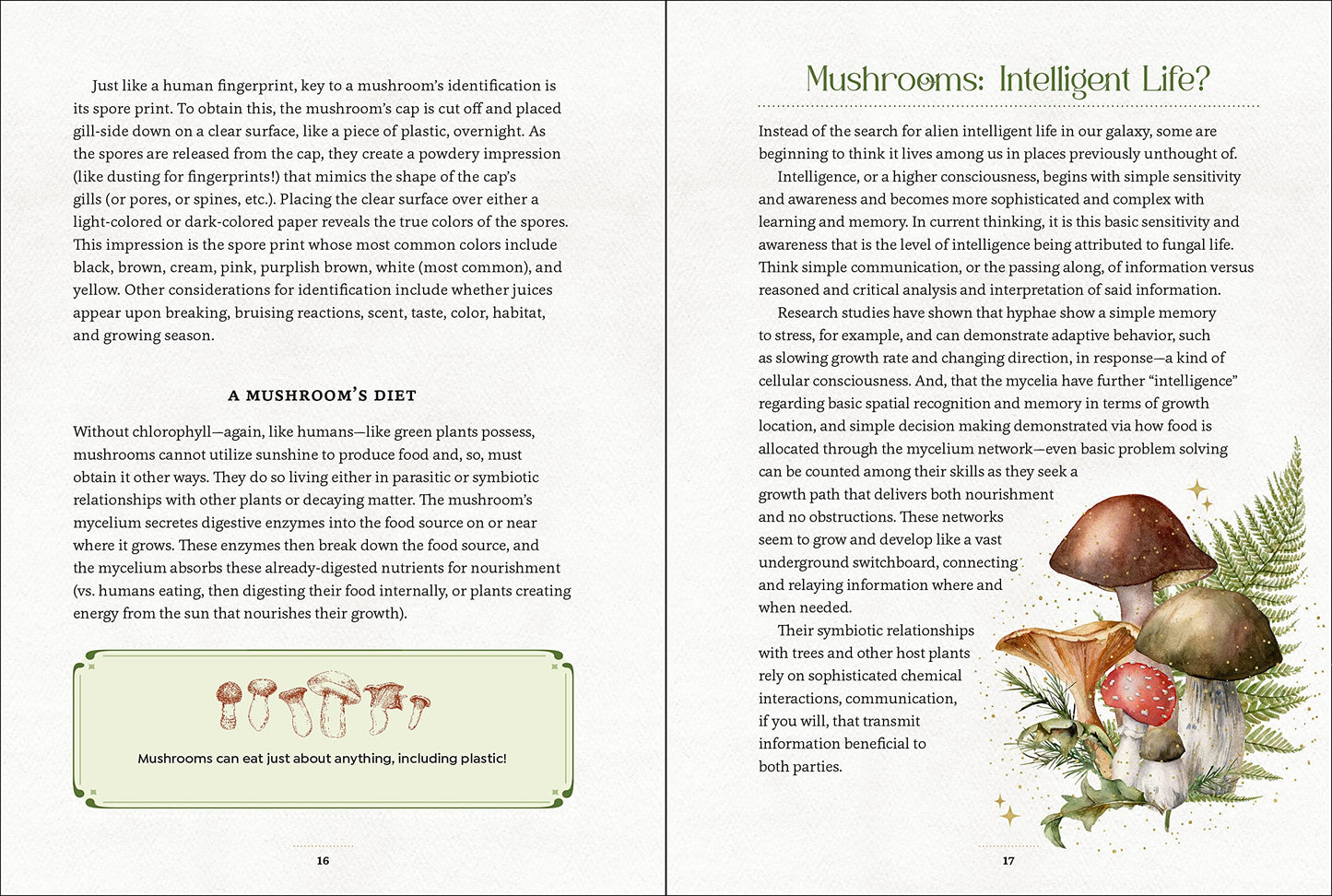 Mystical Mushrooms: Discover the Magic & Folklore of Fantastic Fungi