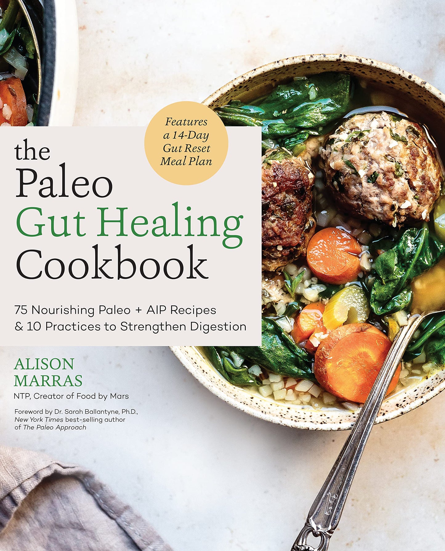 The Paleo Gut Healing Cookbook: 75 Nourishing Paleo + AIP Re