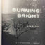 Burning Bright (A Peter Ash Novel)