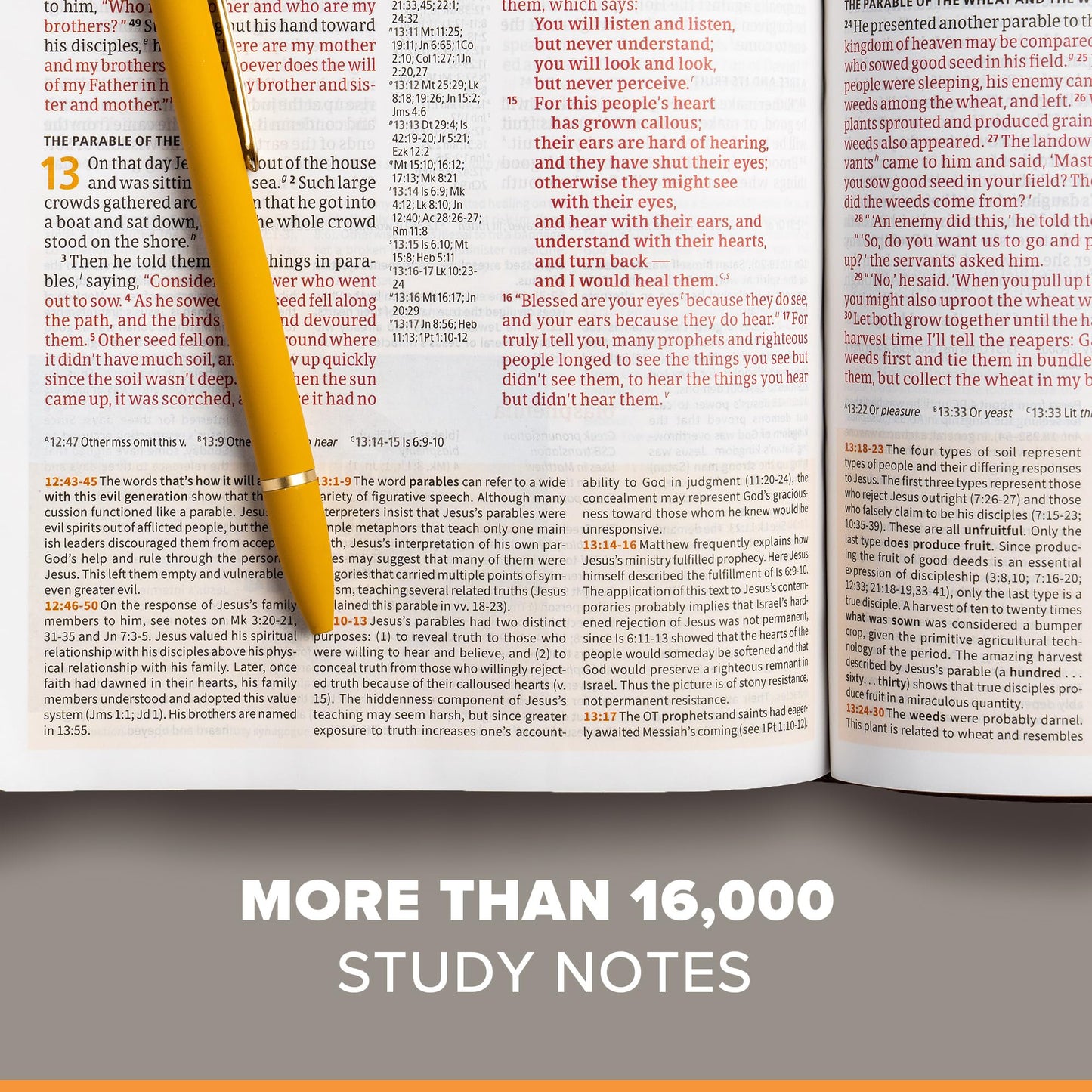 CSB Study Bible, Hardcover, Red Letter, Study Notes and Commentary, Illustrations, Articles, Word Studies, Outlines, Timelines, Easy-to-Read Bible Serif Type