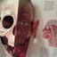 The Human Body: Revised Edition The Classi Three Dimensional