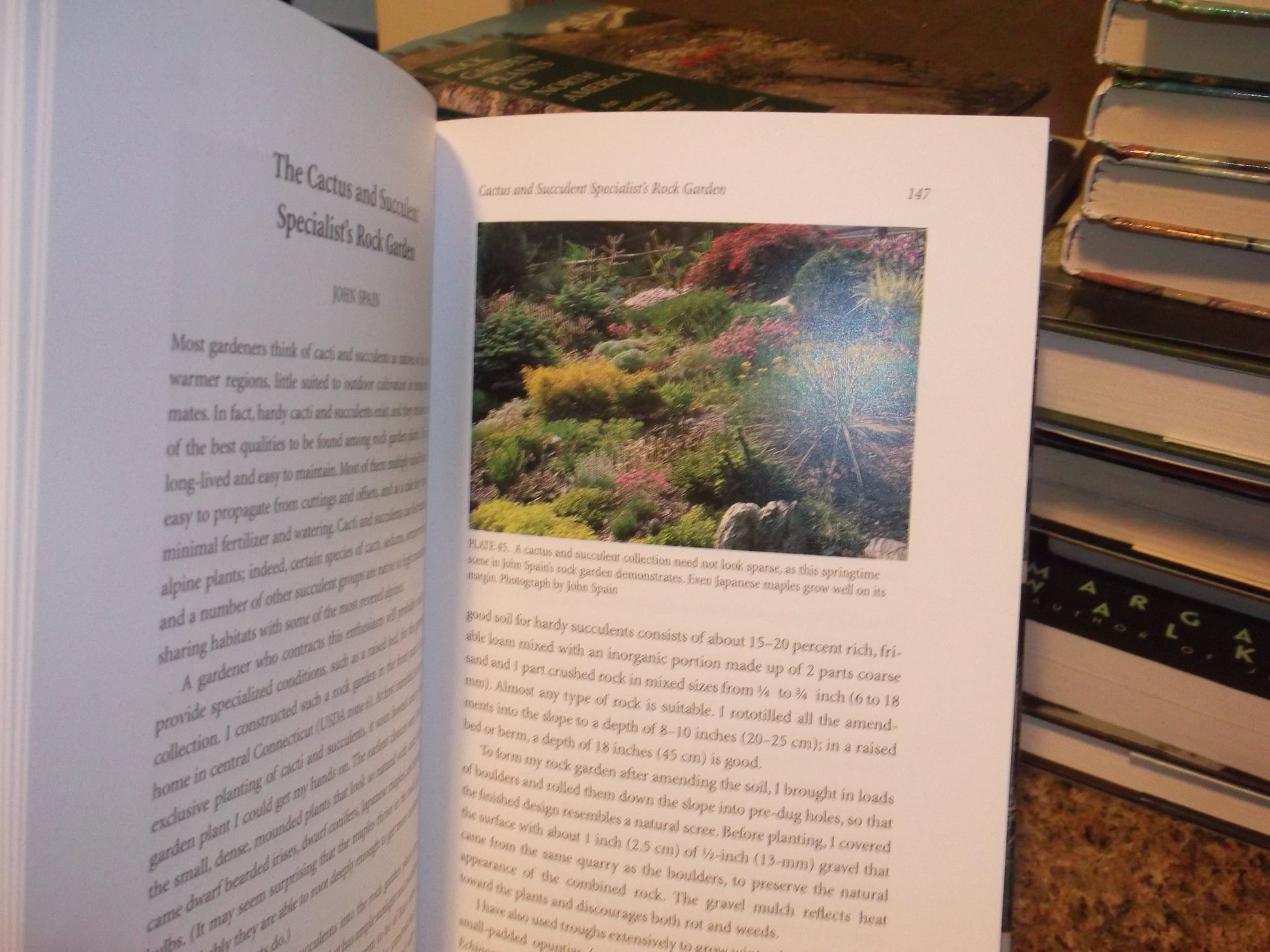 Rock Garden Design and Construction: North American Rock Garden Society