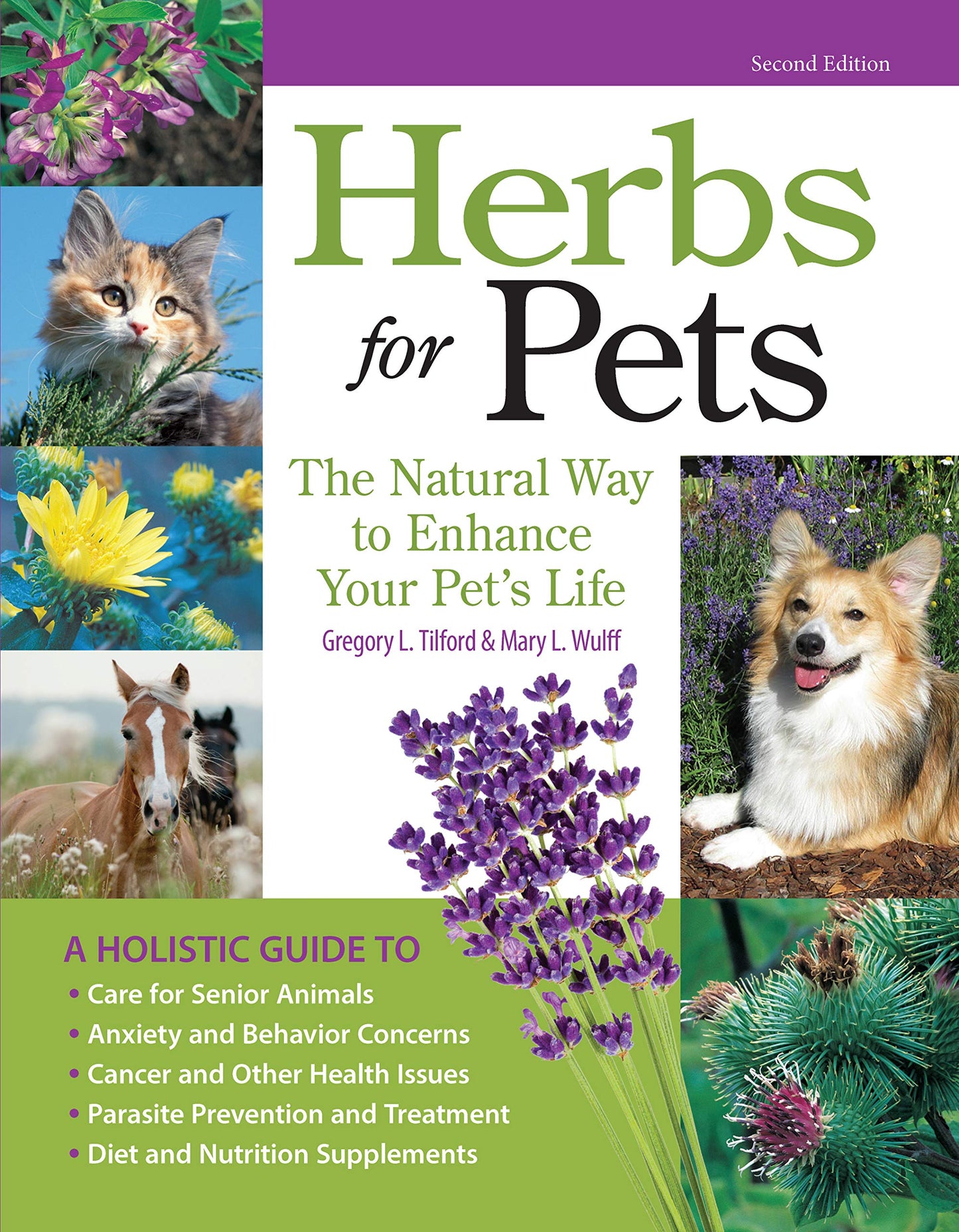 Herbs for Pets: The Natural Way to Enhance Your Pet's Life (CompanionHouse Books) A-Z Guide to Medicinal Plants, Holistic Recipes, and Nutritional Supplements for Dogs, Cats, Horses, Birds, and More