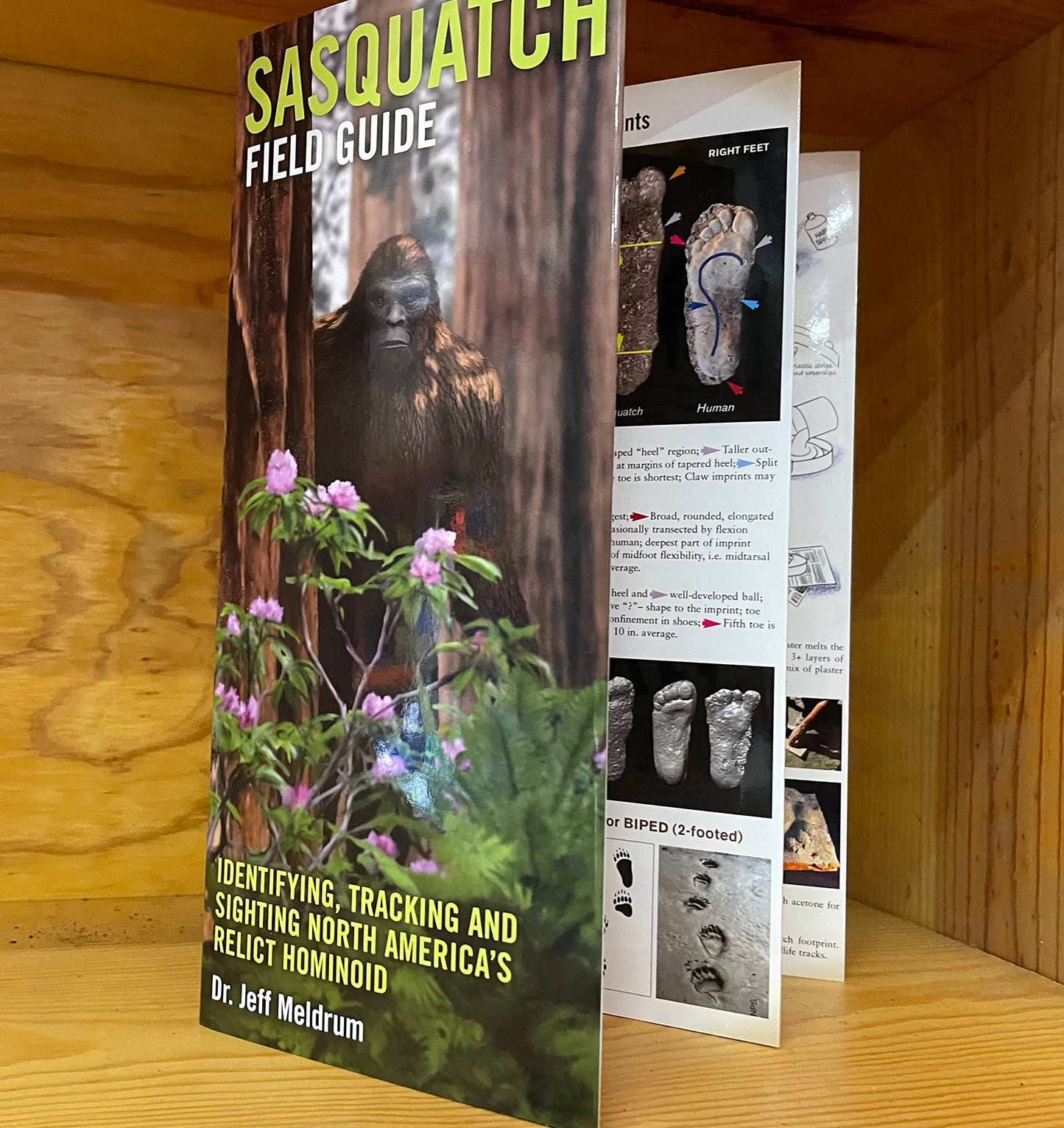 Sasquatch Field Guide by Meldrum, Jeff, Ph.D.