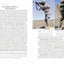 Small Unit Tactics and Raids: Two Illustrated Manuals (Small Unit Soldiers)