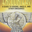 Divine Encounters: A Guide to Visions, Angels and Other Emissaries