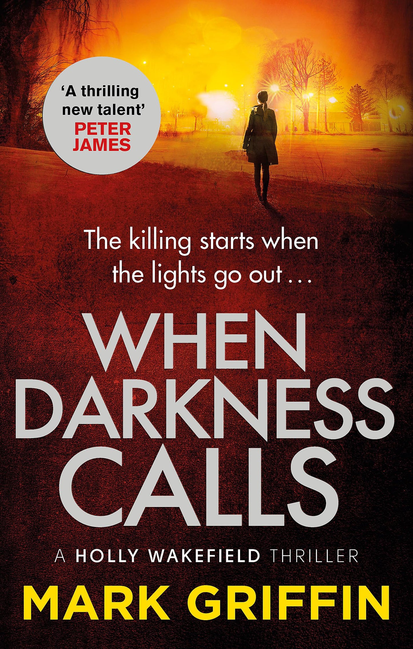 When Darkness Calls (The Holly Wakefield Thrillers)