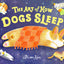 The Art of How Dogs Sleep