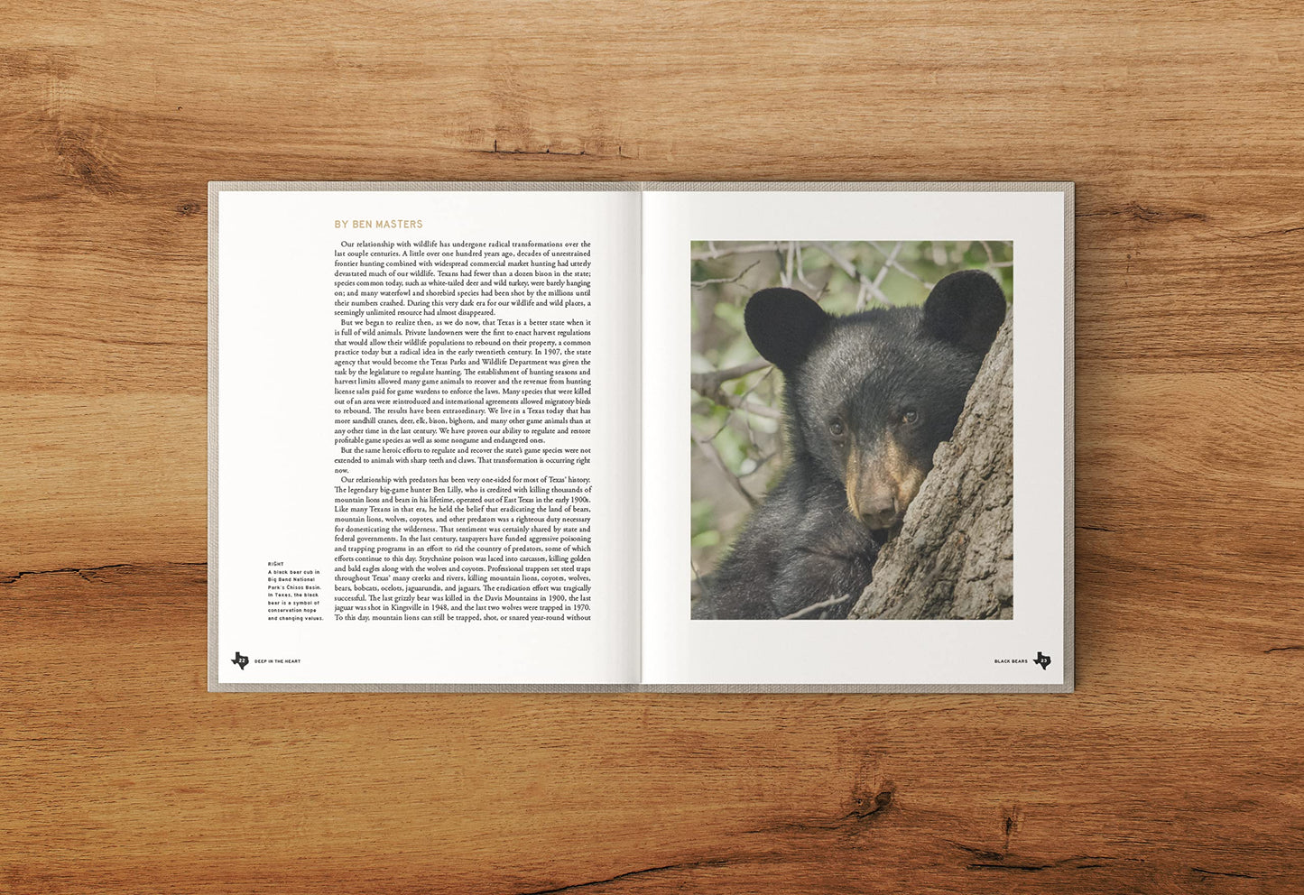 Deep in the Heart: A Texas Wildlife Story