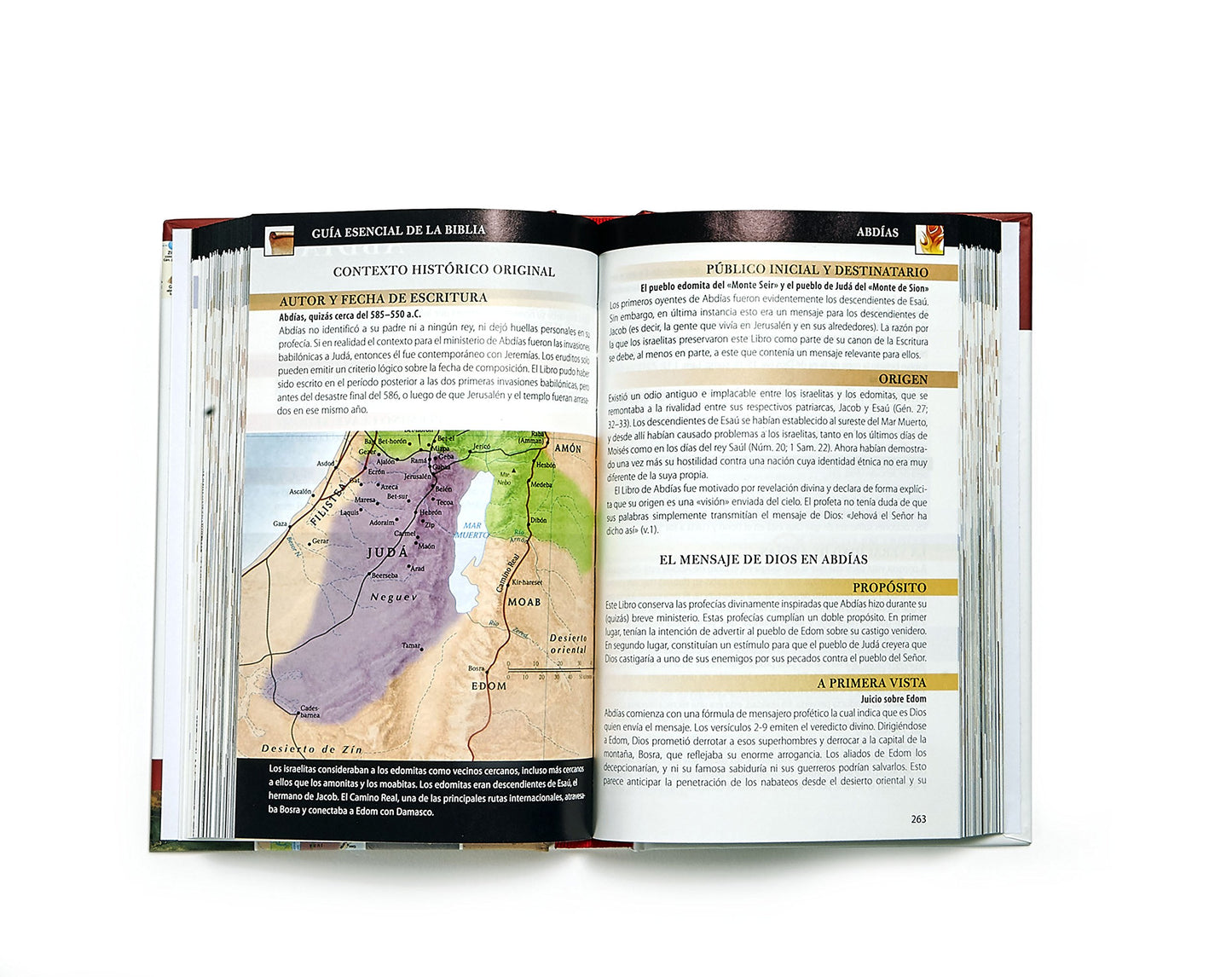 Gu?a esencial de la Biblia  Ultimate Bible Guide (Spanish Edition)