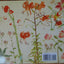 Irises and Other Flowers