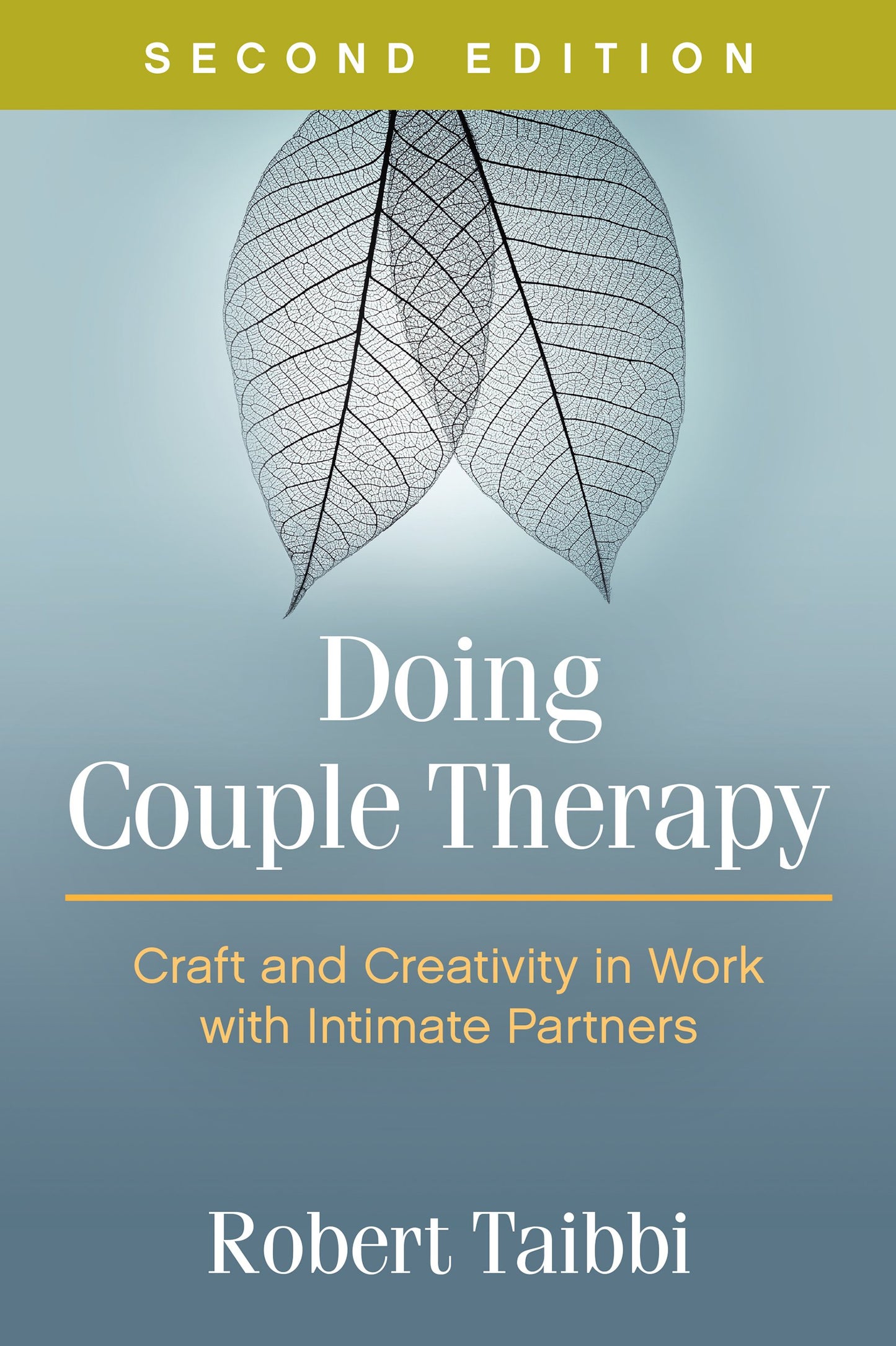 Doing Couple Therapy: Craft and Creativity in Work with Intimate Partners