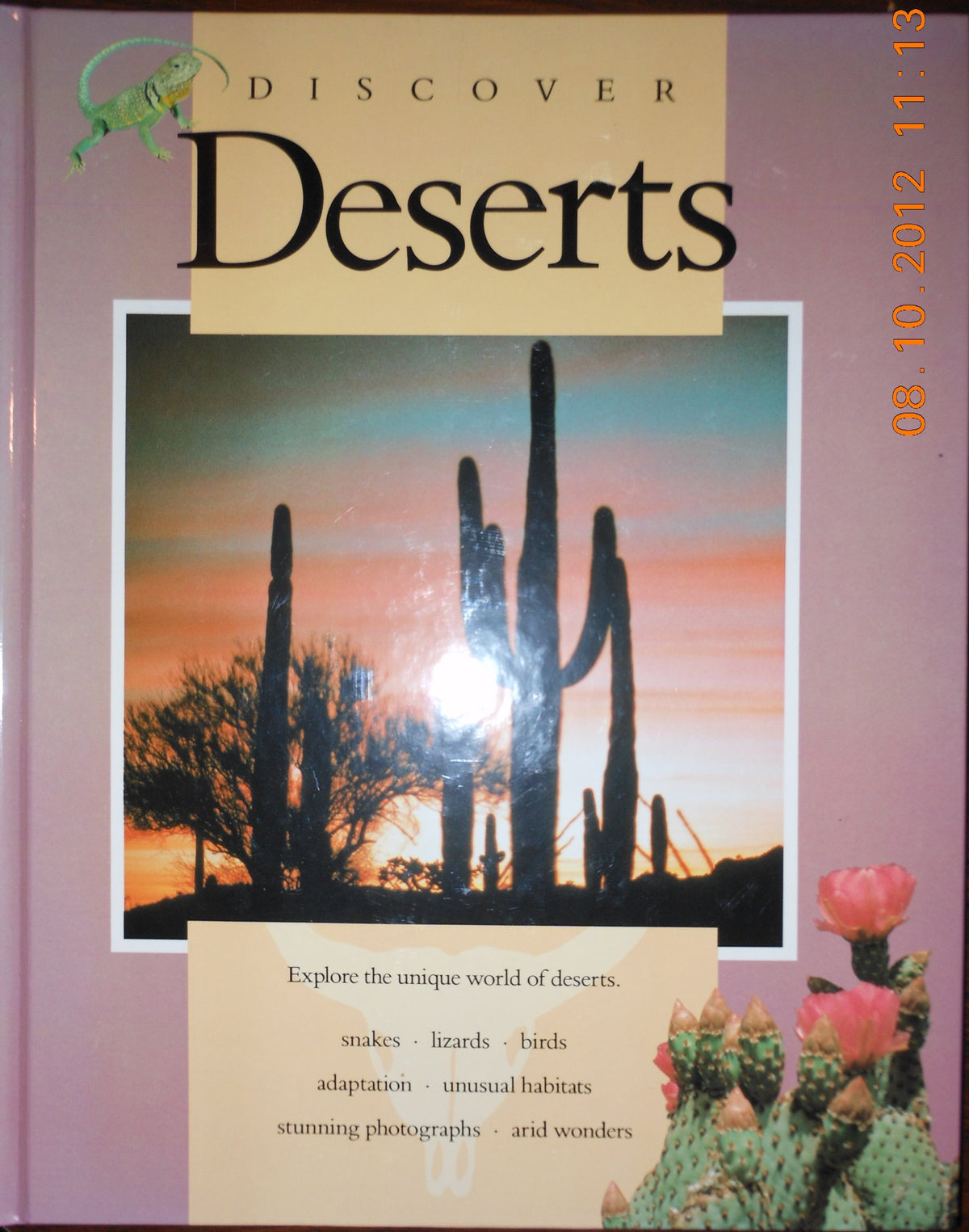 Deserts (Discover)