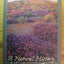 A Natural History of the Sonoran Desert (Arizona-Sonora Desert Museum)