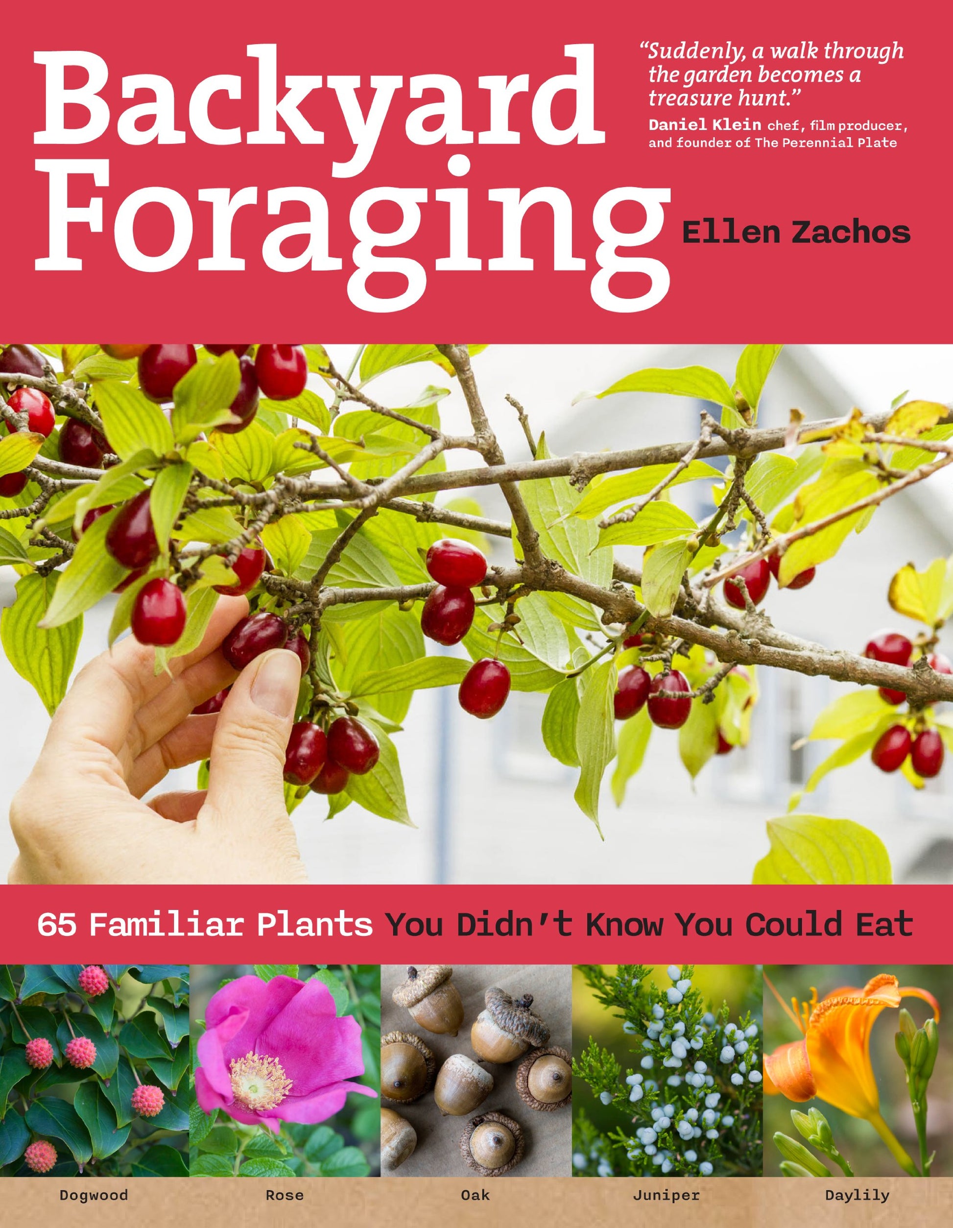 Backyard Foraging: 65 Familiar Plants You Didnt Know You Could Eat