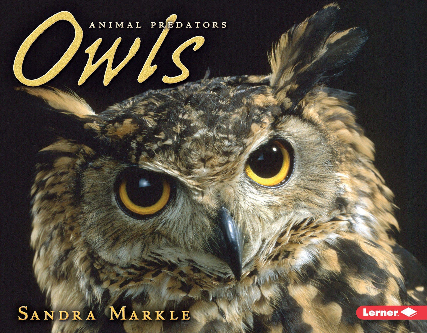 Owls (Animal Predators)