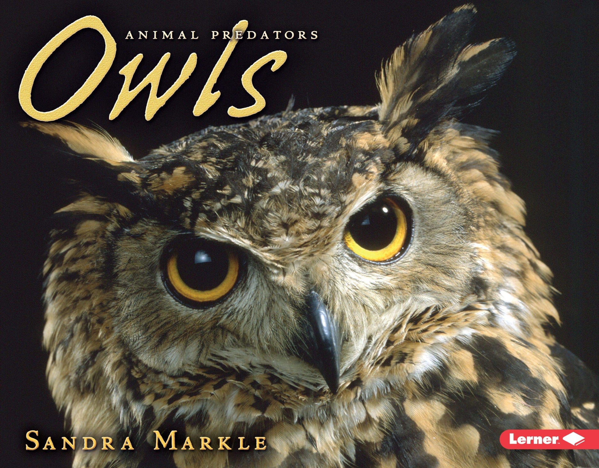 Owls (Animal Predators)