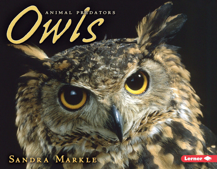 Owls (Animal Predators)