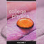 Student Solutions Manual for College Physics: A Strategic Approach Volume 1 (Chs 1-16)