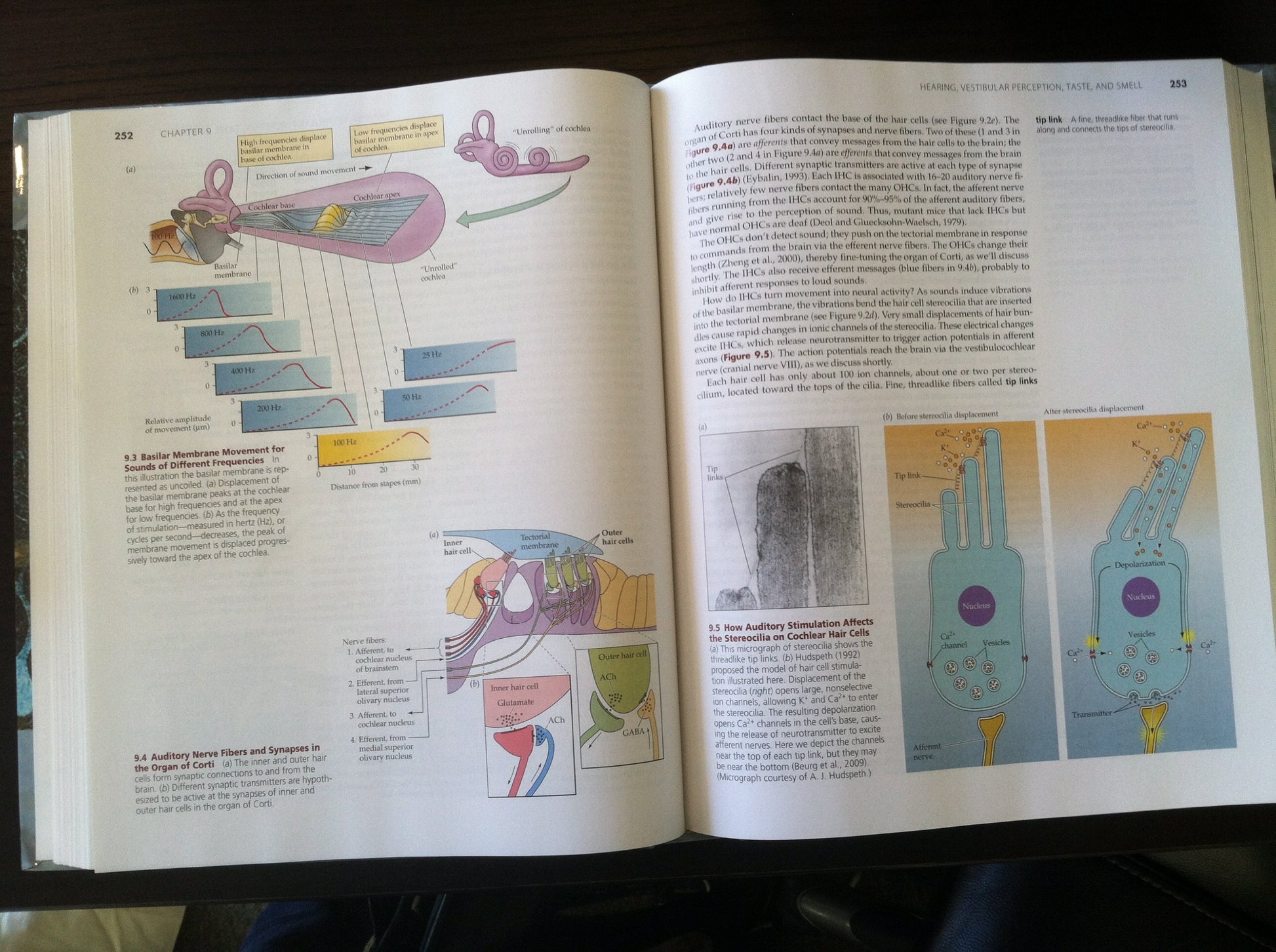 Biological Psychology: An Introduction to Behavioral, Cognitive, and Clinical Neuroscience