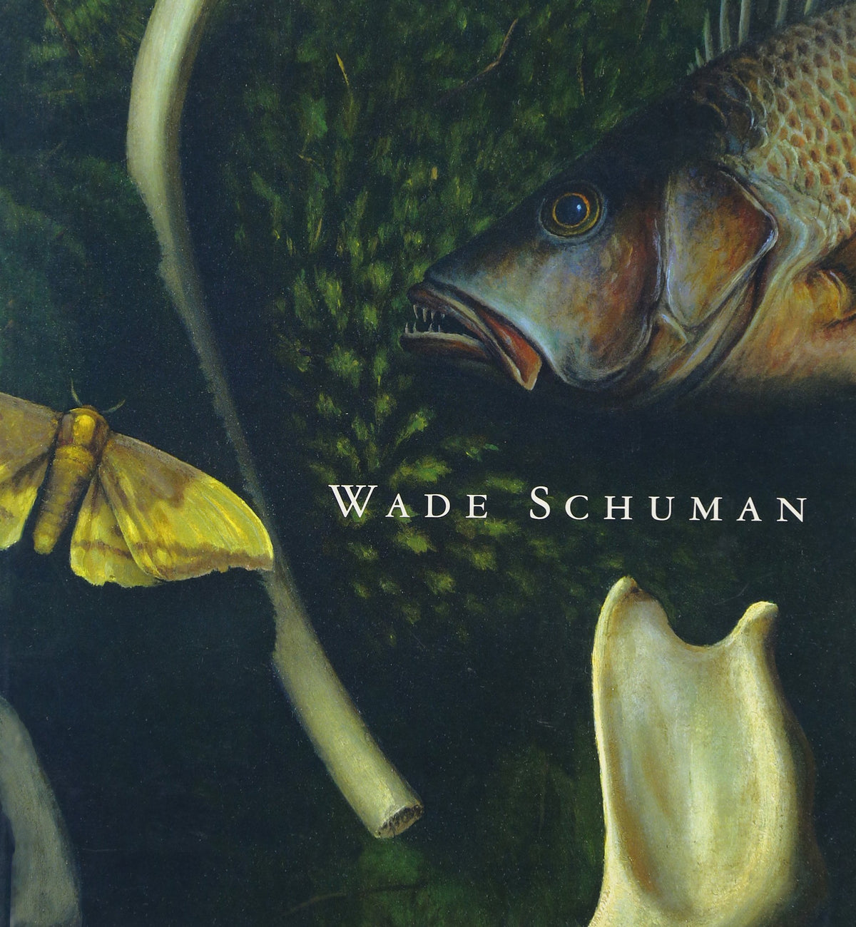 Wade Schuman: Aspects Of View